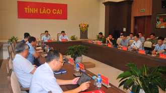 Lào Cai chủ động ứng phó với cơn bão số 3 (WIPHA)