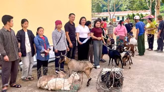 Ý nghĩa chương trình Trao yêu thương - Gieo mầm thiện nguyện tại xã Nghĩa Đô