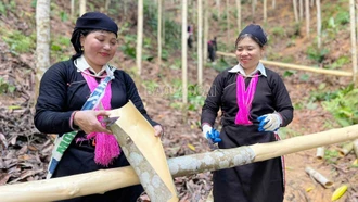 Phong Hải: Nhiều giải pháp nâng cao thu nhập cho người dân