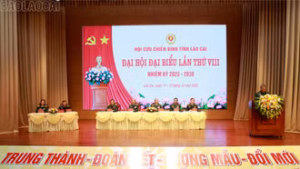 Cựu chiến binh Lào cai nêu cao truyền thống “Trung thành, đoàn kết, gương mẫu, đổi mới”