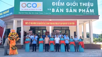 Lào Cai ban hành nhiều chính sách hỗ trợ phát triển sản xuất nông, lâm nghiệp và thủy sản 