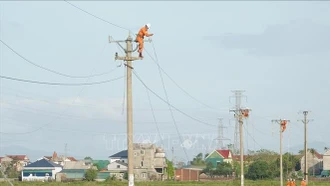 Điện lực miền Bắc yêu cầu lập đội xung kích sẵn sàng cơ động ứng phó bão số 11