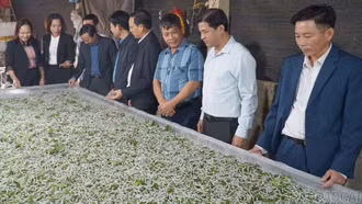 Nông dân Trấn Yên phát huy vai trò chủ thể trong phát kinh tế nông thôn