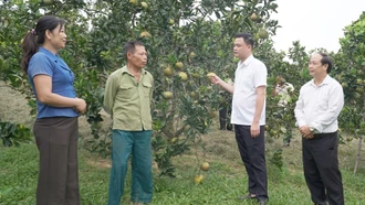 Những đảng viên tiên phong phát triển kinh tế tư nhân ở Yên Thành