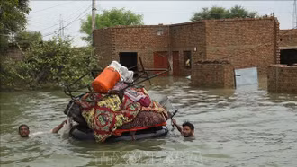 Pakistan sơ tán 150.000 người sau cảnh báo xả lũ từ Ấn Độ