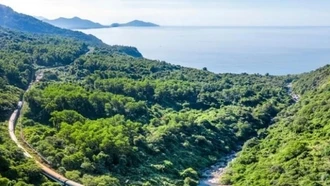 Đường sắt đã chạy lại các đoàn tàu sau ảnh hưởng của bão số 10