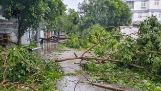 Bão số 5 làm 3 người chết, 10 người bị thương gây thiệt hại nặng về tài sản
