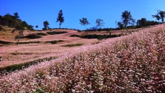 Các nhiệm vụ trọng tâm của ngành du lịch trong 6 tháng cuối năm 2025