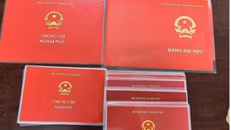 Những điểm mới dự kiến sửa đổi để quản lý văn bằng, chứng chỉ