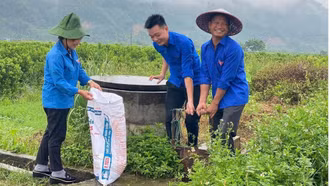 Lào Cai: Hơn 6.200 đoàn viên, thanh niên tham gia Ngày Chủ nhật xanh