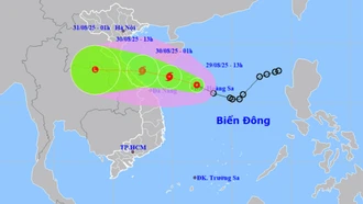 Rạng sáng mai áp thấp nhiệt đới có thể thành bão, Bắc và Trung Bộ cao điểm mưa