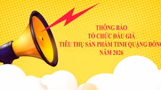 Thông báo tổ chức đấu giá tiêu thụ sản phẩm tinh quặng đồng năm 2026