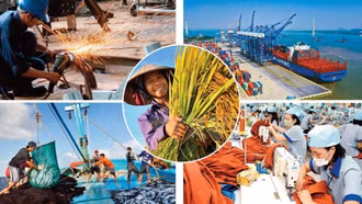 Để tăng tốc tất cả các chân kiềng tăng trưởng