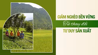 Giảm nghèo bền vững từ thay đổi tư duy sản xuất