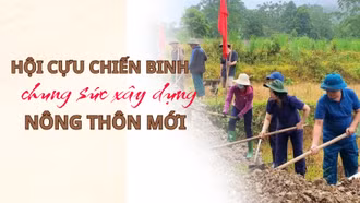 Hội Cựu chiến binh chung sức xây dựng nông thôn mới