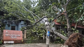 Ứng phó bão số 3: Vận hành hệ thống điện quốc gia theo phương châm '4 tại chỗ'