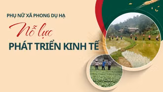 Phụ nữ xã Phong Dụ Hạ nỗ lực phát triển kinh tế