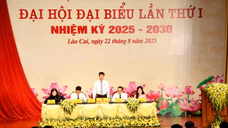 Phiên trù bị Đại hội đại biểu Đảng bộ UBND tỉnh Lào Cai lần thứ I, nhiệm kỳ 2025 - 2030