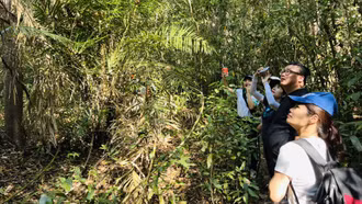 Cần phối hợp đồng bộ để phát triển du lịch xanh tại Việt Nam