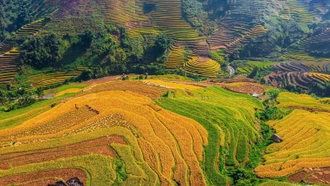 Khẩn trương hoàn thiện hồ sơ Báo cáo đề xuất chủ trương đầu tư Chương trình MTQG