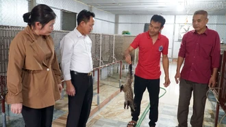 Những mô hình dân vận khéo ở Châu Quế