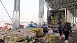 Khẩn trương đánh giá tình trạng cầu nằm trong vùng ảnh hưởng bão số 5