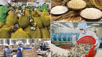 Ban hành kế hoạch đẩy mạnh xuất khẩu nông, lâm, thủy sản năm 2025