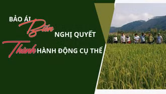 Bảo Ái: Biến nghị quyết thành hành động cụ thể