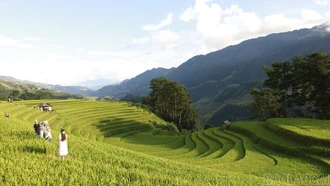 Du lịch Lào Cai đặt mục tiêu đón 11,28 triệu lượt khách trong năm 2026
