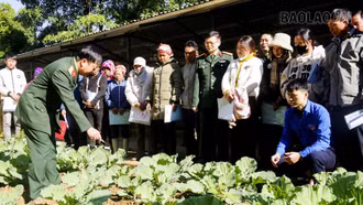 Đoàn Kinh tế - quốc phòng 345 gặp mặt già làng, trưởng bản, người có uy tín trong đồng bào dân tộc thiểu số