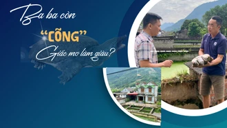 Ba ba còn “cõng” giấc mơ làm giàu?