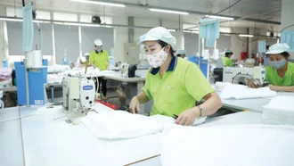 Từ yêu cầu thẩm định của EU: Doanh nghiệp cần chủ động thích ứng