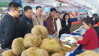 Cơ hội lớn cho nông sản Việt xuất khẩu 