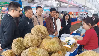 Cơ hội lớn cho nông sản Việt xuất khẩu 