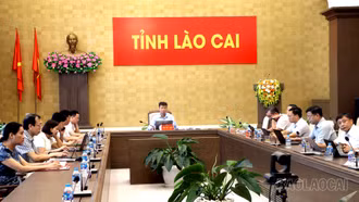 Tỉnh Lào Cai tham dự Ngày Chuyển đổi số quốc gia năm 2025