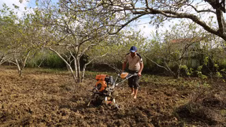 Nông dân Lào Cai tích cực thi đua lao động, sản xuất 
