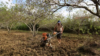Nông dân Lào Cai tích cực thi đua lao động, sản xuất 