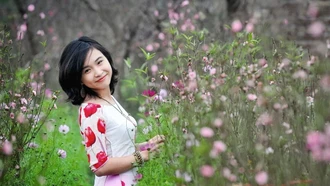 Lịch nghỉ Tết Dương lịch 2026