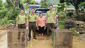 Lào Cai vận động người dân giao nộp 2 cá thể khỉ cho Trung tâm Du lịch và Bảo tồn sinh vật Hoàng Liên