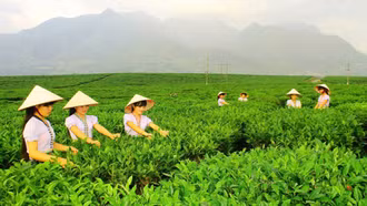 Sắp diễn ra Ngày hội sản phẩm vùng đồng bào dân tộc thiểu số và miền núi phía bắc