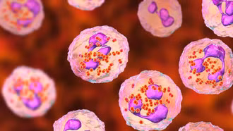 Bộ Y tế khuyến cáo phòng bệnh viêm màng não do não mô cầu