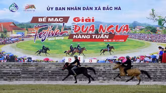 Chung kết Giải đua ngựa hàng tuần Bắc Hà