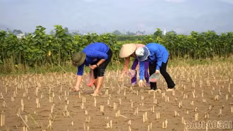 Không để đất ngủ đông