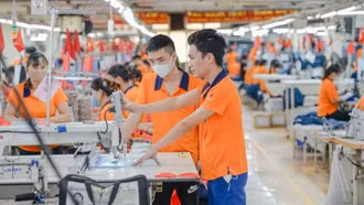 EAEU áp dụng biện pháp phòng vệ ngưỡng với hàng dệt may từ Việt Nam