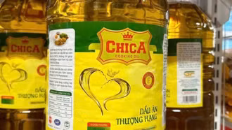 Bộ Y tế cảnh báo: Nhiều dầu thực vật giả đang lưu hành trên thị trường