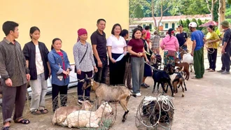 Ý nghĩa chương trình Trao yêu thương - Gieo mầm thiện nguyện tại xã Nghĩa Đô