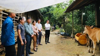 Phường Cầu Thia làm tốt công tác giảm nghèo