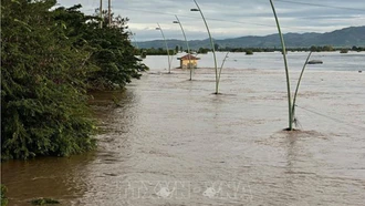 Thiên tai khiến 305 người chết và mất tích, kinh tế bị thiệt hại khoảng 69.000 tỷ đồng