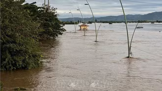 Thiên tai khiến 305 người chết và mất tích, kinh tế bị thiệt hại khoảng 69.000 tỷ đồng