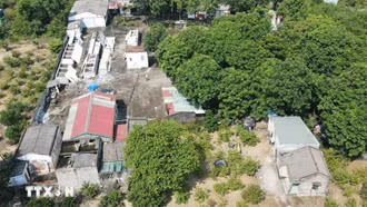 Các địa phương hoàn thành kiểm kê đất đai trước ngày 20/8